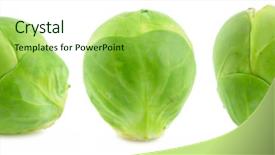  Presentation with brussel - PPT theme featuring green brussel sprouts isolated background and a mint green colored foreground