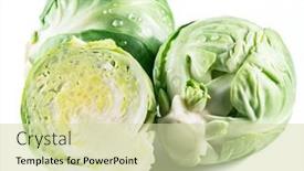  Presentation with brussel - PPT layouts with green-brussel-sprouts-with-water background and a soft green colored foreground