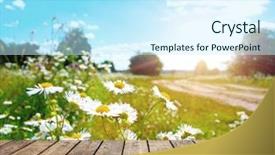  Presentation with yellow wood texture and - PPT theme with flower hoya - wood textured backgrounds background and a  colored foreground