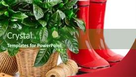  Presentation with white flowers - Audience pleasing slides consisting of green-bush-with-flowers backdrop and a forest green colored foreground