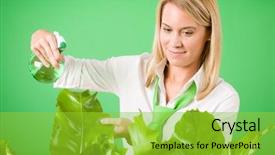  Presentation with water environment - Amazing slide deck having green business woman water houseplant environment friendly smile backdrop and a yellow colored foreground