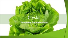  Presentation with lettuce - Beautiful slide deck featuring green butter lettuce vegetable or salad isolated on white background backdrop and a shamrock green colored foreground