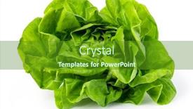  Presentation with lettuce - Cool new slide set with green-butter-lettuce-vegetable backdrop and a tawny brown colored foreground