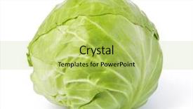  Presentation with cabbage - Slides having green cabbage isolated on white background and a yellow colored foreground