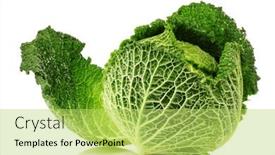  Presentation with cabbage - 