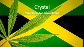  Presentation with jamaica - Amazing PPT theme having green cannabis leaves on jamaica backdrop and a black colored foreground