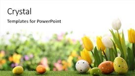  Presentation with meadow - Cool new PPT theme with green card - easter eggs decorated with flowers backdrop and a white colored foreground
