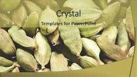  Presentation with cardamom - Amazing slides having green cardamom pods close-up macro photo backdrop and a yellow colored foreground