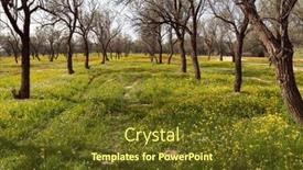  Presentation with red carpet - PPT layouts enhanced with green-carpet-of-spring-grass background and a tawny brown colored foreground