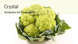  Presentation with white green - PPT theme with green cauliflower on white background background and a  colored foreground