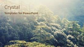  Presentation with green mountains - Amazing PPT layouts having green-cedar-trees-in-cyprus backdrop and a soft green colored foreground