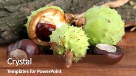  Presentation with green - Audience pleasing PPT layouts consisting of green-chestnuts-and-bark backdrop and a tawny brown colored foreground
