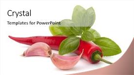  Presentation with chemomile herbs - Audience pleasing presentation theme consisting of green chilli - chili pepper and flavoring herbs backdrop and a white colored foreground