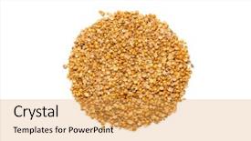  Presentation with indian - Audience pleasing PPT theme consisting of green chilli - indian spice isolated on white backdrop and a yellow colored foreground