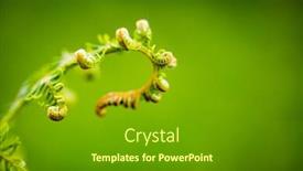  Presentation with fern - Presentation design consisting of green-close-up-background background and a tawny brown colored foreground