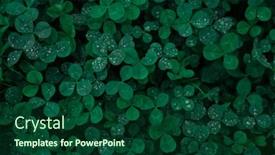  Presentation with clover - Slide deck consisting of green-clover-carpet-with-dew background and a forest green colored foreground