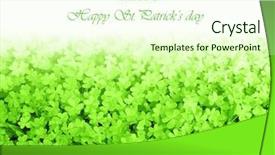  Presentation with white green - Theme consisting of green clover holiday border st background and a cream colored foreground