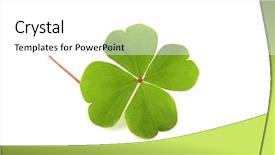  Presentation with four leaf clover - PPT theme enhanced with green clover isolated on white background and a white colored foreground