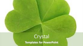  Presentation with clover - Cool new presentation theme with green-clover-leaf-isolated backdrop and a tawny brown colored foreground