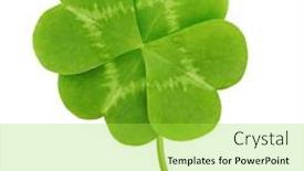  Presentation with green leaf - Beautiful slide deck featuring green-clover-leaf-isolated backdrop and a yellow colored foreground