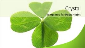  Presentation with four leaf clover - PPT layouts having green clover leaf isolated background and a blonde colored foreground