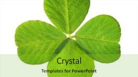  Presentation with four leaf clover - Slide set featuring green clover leaf isolated background and a shamrock green colored foreground
