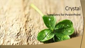  Presentation with clover - PPT theme enhanced with green clover leaf with drops background and a lemonade colored foreground
