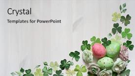  Presentation with white flower frame - Amazing presentation theme having green clover leafs border - easter flower frame of cut backdrop and a light gray colored foreground
