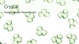  Presentation with background and significance - Presentation theme consisting of green clover leafs border - shamrocks background background and a  colored foreground