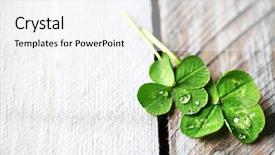  Presentation with four leaf clover - Cool new theme with green clover leaves with drops backdrop and a white colored foreground