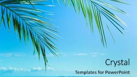  Presentation with paradise - Cool new PPT theme with green coconut - background summer paradise backdrop and a arctic colored foreground