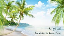  Presentation with beach palm tree wedding - Theme enhanced with green coconut - beach with palm trees background and a sky blue colored foreground