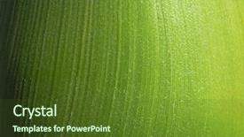  Presentation with coconut palm tree - Beautiful presentation featuring woman locking her garage door backdrop and a ocean colored foreground