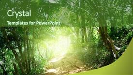  Presentation with green coconut - Presentation theme with green coconut - ground road in jungle background and a forest green colored foreground