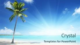  Presentation with palm beach - Colorful PPT layouts enhanced with green coconut - palm and beach backdrop and a cool aqua colored foreground