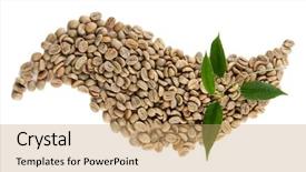  Presentation with green coffee beans - Beautiful presentation featuring green coffee beans and leaves backdrop and a  colored foreground