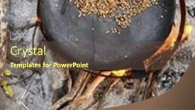  Presentation with green coffee - Slides consisting of green-coffee-beans-being-roasted background and a tawny brown colored foreground