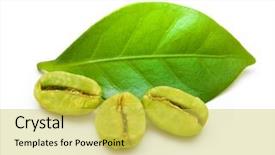  Presentation with green coffee - Colorful presentation design enhanced with green coffee beans with leaf backdrop and a yellow colored foreground
