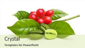  Presentation with green coffee - PPT theme consisting of green coffee beans with leaf background and a yellow colored foreground
