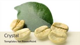  Presentation with green coffee beans - Cool new PPT theme with green coffee beans with leaf backdrop and a  colored foreground