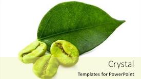  Presentation with green coffee beans - Slide set enhanced with green coffee beans with leaf isolated on white background and a yellow colored foreground