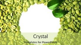  Presentation with green coffee - Audience pleasing presentation consisting of green coffee beans with leaves backdrop and a yellow colored foreground