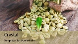  Presentation with green coffee beans - Audience pleasing slide deck consisting of green coffee beans backdrop and a yellow colored foreground