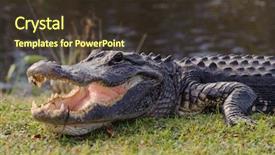  Presentation with conflict - Beautiful theme featuring 3ds rendered image of seaside room white fabric window blinds white cracked concrete wall parquet herringbone pattern laminate floor backdrop and a gray colored foreground