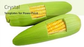  Presentation with green fresh food - 