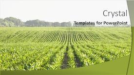  Presentation with green waves - Slide set featuring green-corn-rows-and-waves background and a white colored foreground