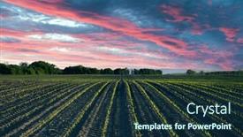  Presentation with corn fields - PPT theme featuring green-corn-rows-and-waves background and a tawny brown colored foreground