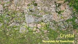  Presentation with green industries plant - Presentation theme with ivy leage - green creeper plant growing background and a tawny brown colored foreground