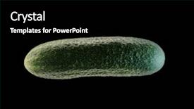  Presentation with dark green deep rich emerald - Cool new PPT layouts with green cucumber on dark background backdrop and a black colored foreground