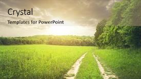  Presentation with dark forest - Presentation theme consisting of green day - large beautiful spring the field background and a coral colored foreground